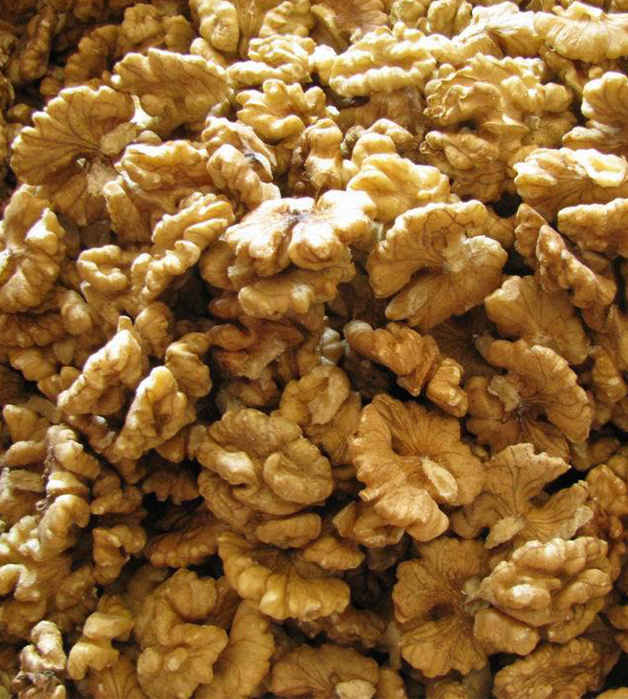 33 Walnut Kernel