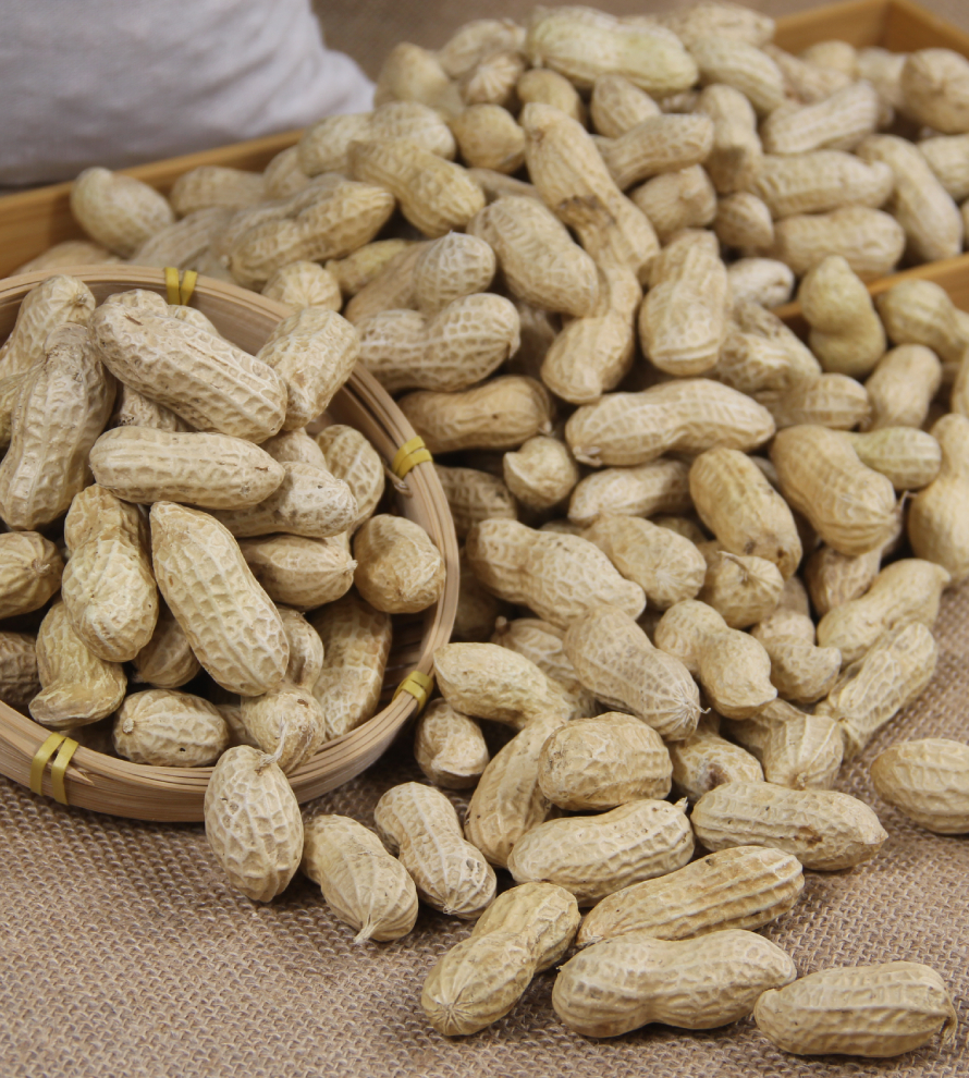 Peanuts